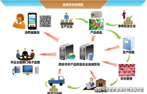 智慧農業與電子商務技術 推動農業現代化的雙引擎