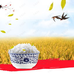 糧食大米PSD分層主圖素材免費獲取與設計技巧