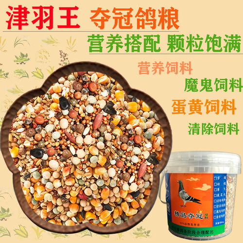 天津羽王鴿具 專注鴿糧品質，助力賽鴿飛翔——優選賽鴿用品與糧食