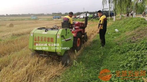 東北畜牧養殖迎來高效時代 飼料捆草機械與糧食全鏈條革新